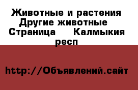 Животные и растения Другие животные - Страница 2 . Калмыкия респ.